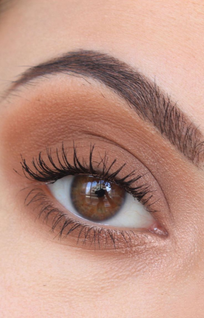 Neutral Eyeshadow Base