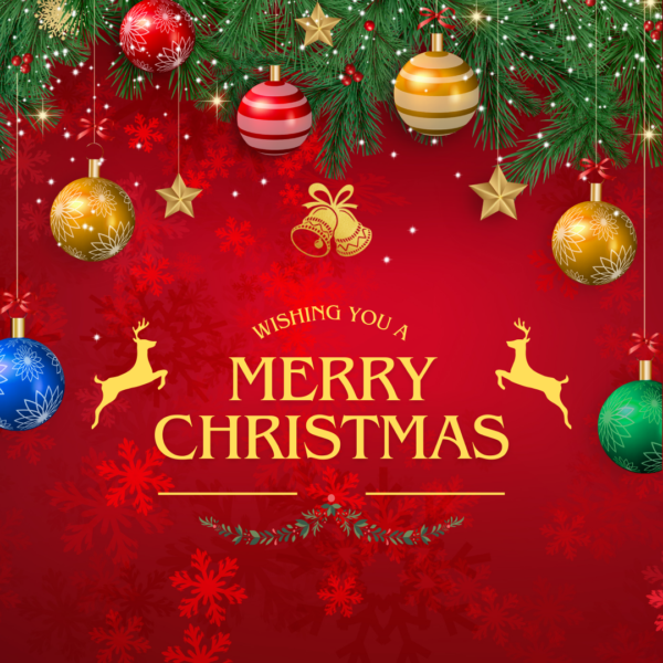 The ANNY team wishes you all a Merry Christmas.